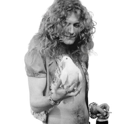 Artist image