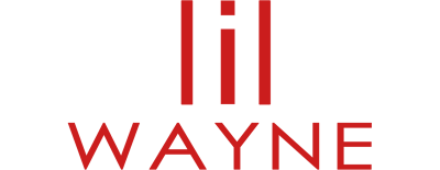 Artist image