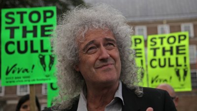 Artist image