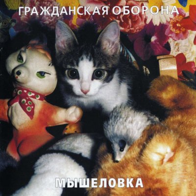 Album cover