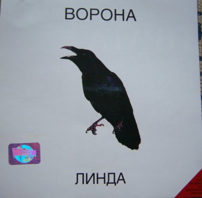 Album cover