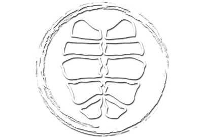 Dancing Turtle Records logo