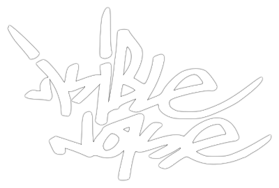 Visible Noise logo
