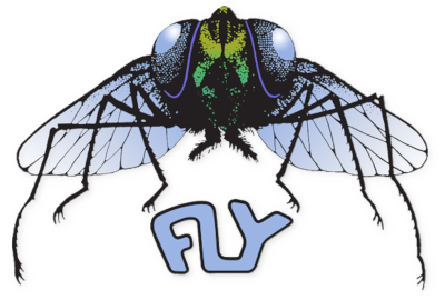 Fly logo