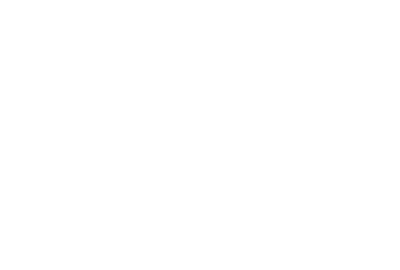 Domino logo