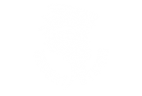 Desert Storm logo
