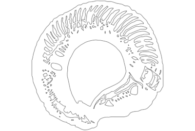 WormHoleDeath logo
