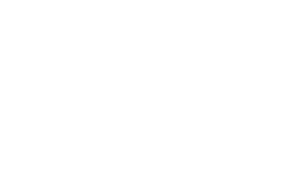 DMZ logo