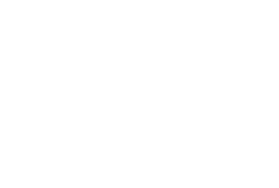 Lucky Number logo