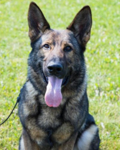 Axel