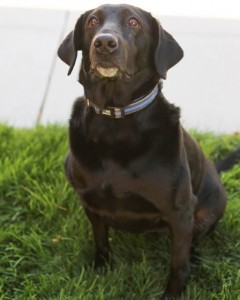 Bonnie
