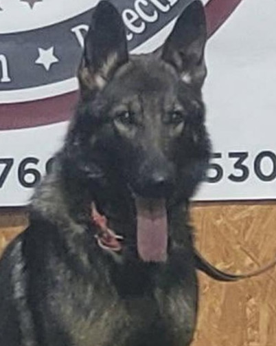 K9 Farock