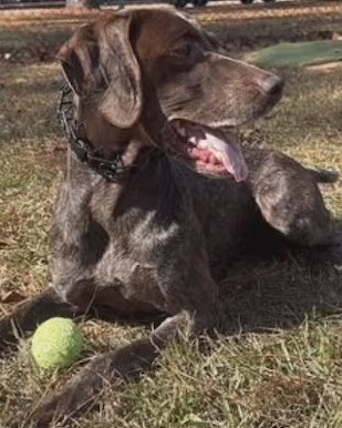 Axel