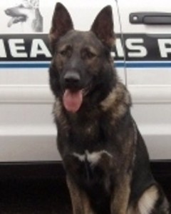 Chase