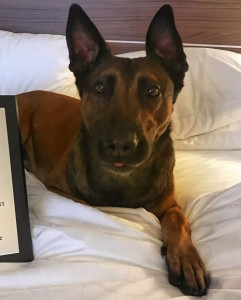 Jango