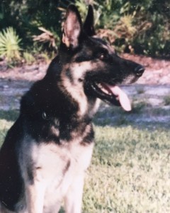 Ajax