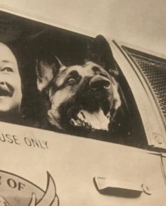 Roscoe