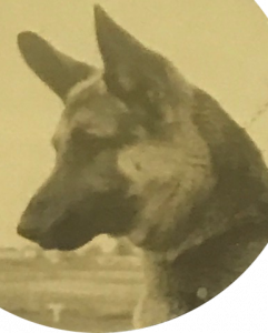 Sieger