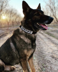 Duke