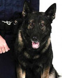 Gunner