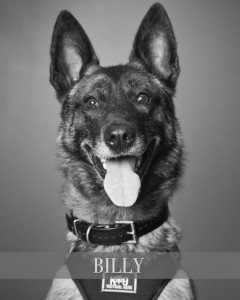 Billy
