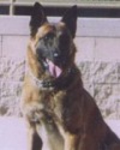 Rex