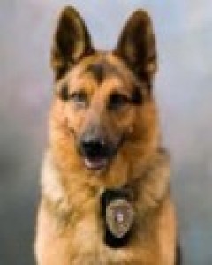 Cezar