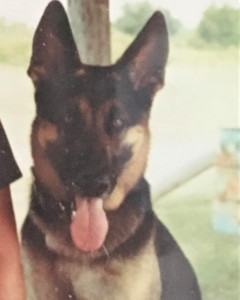 Major