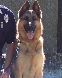 Major