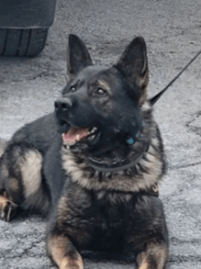 Ciro