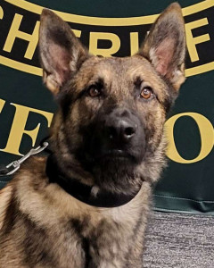 Kyro