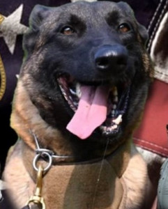 Max