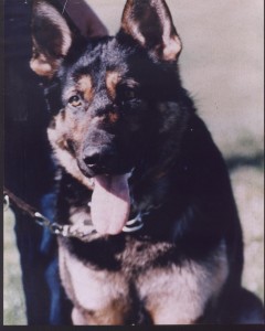 Ado