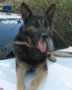 Pasco