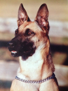 Laika