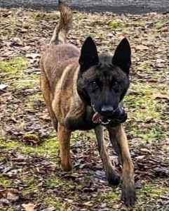 Axel