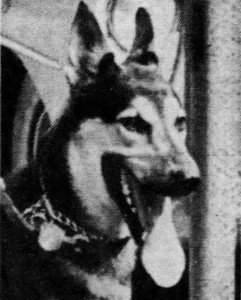 Caesar