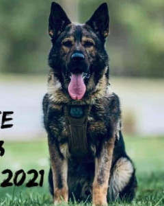 Duke