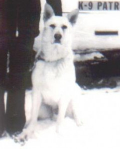 Sarge