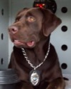 Shiloh