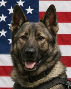 Knox