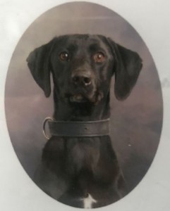 Gunner