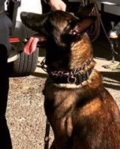 Roscoe
