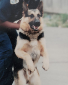 Fero