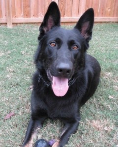 Titus