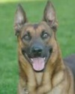 Ranger