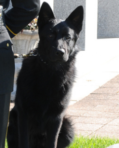 Major