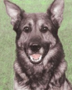 Ferro
