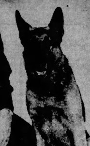 Heiko