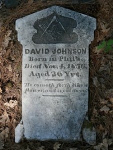 David Johnson
